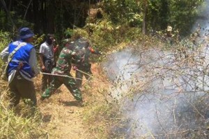Naggota TNI bersama warga setempat berjibaku melakukan pemadaman api di desa Padabeunghar.